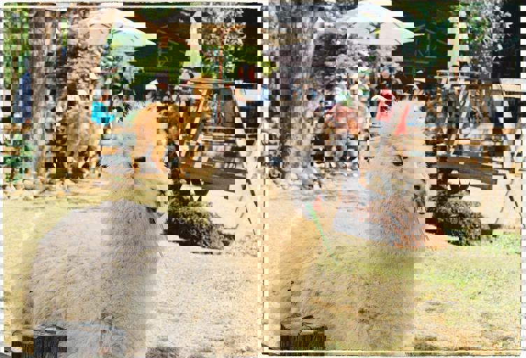 Inaugurato il parco giochi sensoriale: un’oasi inclusiva per famiglie genovesi